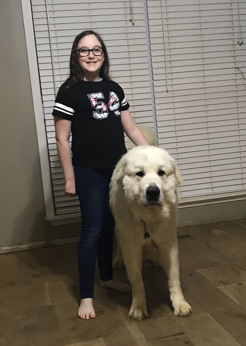BuckValerie's tweet photo. Molly &amp; Tucker #digitalspiritweek @RamseyMS_JCPS https://t.co/xubeKNOHoX