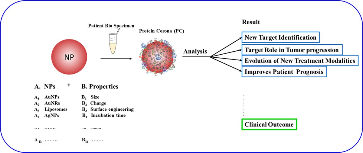 J Controlled Release On Twitter Analysing The Nanoparticle Protein Corona For Potential Molecular Target Identification Priyabrata Mukherjee The University Of Oklahoma Health Sciences Center 50 Days Free Access Https T Co Ds99krujkm Https