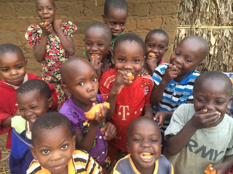 CGIAR's tweet image. .@RTB_CGIAR and @Cipotato are fighting #hiddenhunger through vitamin-A rich orange-flesh #sweetpotato. 

🎧Listen to the podcast: on.cgiar.org/2vQXiqs #ofsp #biofortification @CGIARnutrition