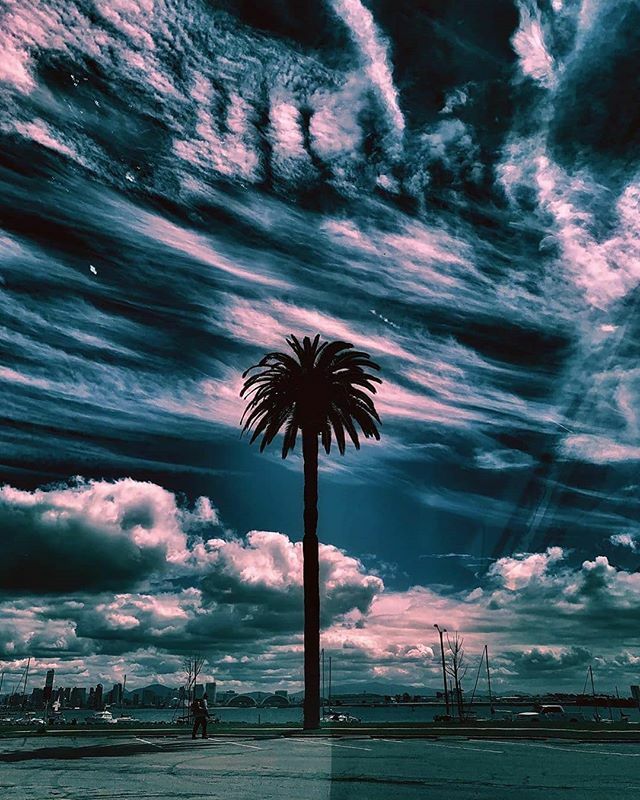 🌴 Photo By Featured Artist: @san_diego_lovin 🌴
Selected By: @la.visualz .
.
.
To Be Featured Make Sure You Tag
@hug_a_palmtree or Use #HUGAPALMTREE .
.
#losangeles #photography #sunset #photooftheday #sunsetlovers #palmtrees #inspiration #landscape #… ift.tt/2UGCDhc