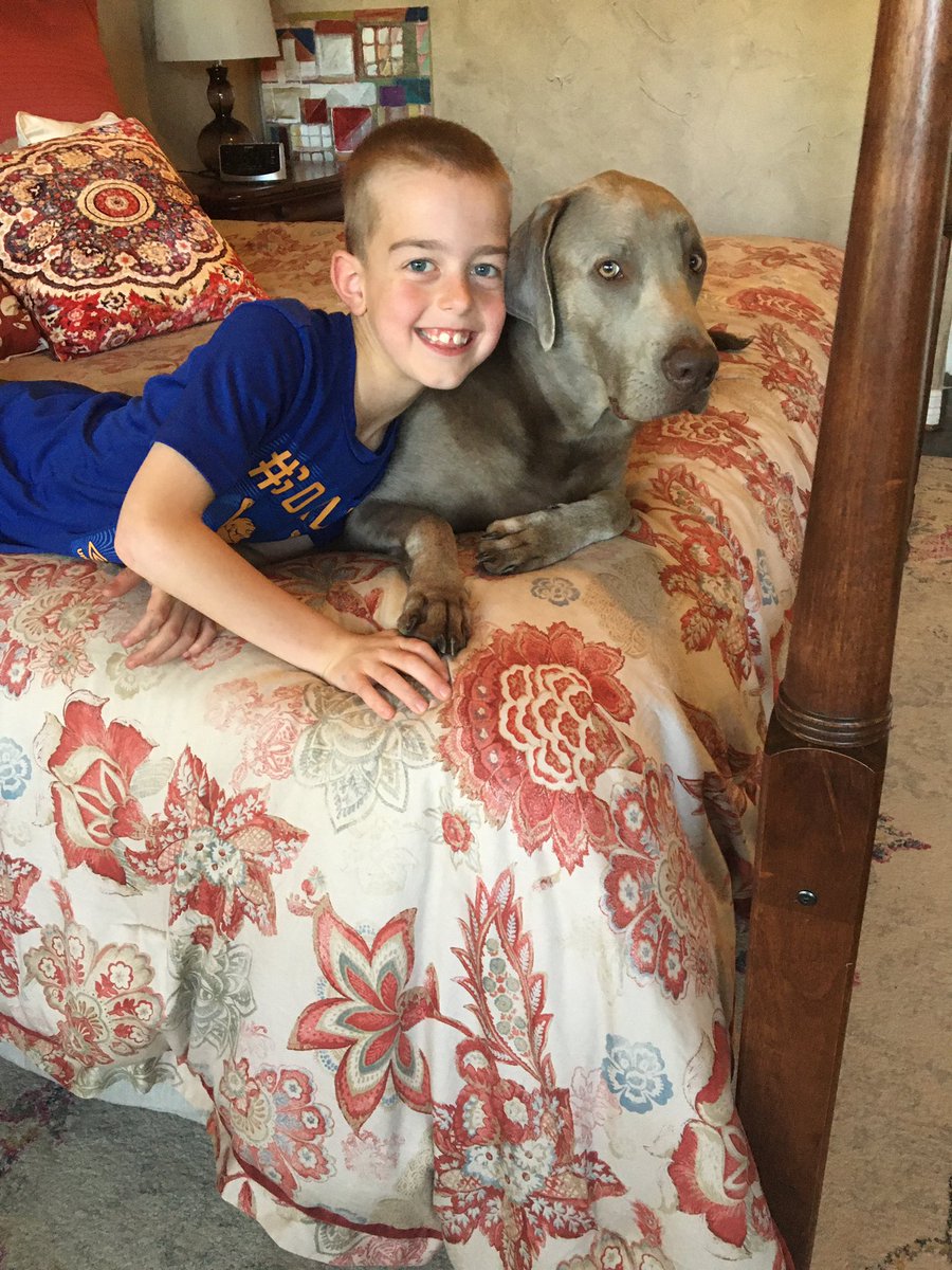 StumpyClass's tweet image. One of the things I love about being at home is all the pictures I receive of my students and their furry friends. This is John and Argent, the silver lab. ❤️@WGESdragons