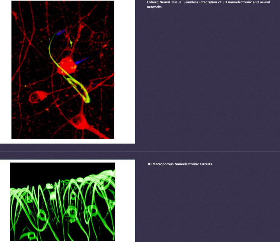  https://cml.harvard.edu/research/image-gallery