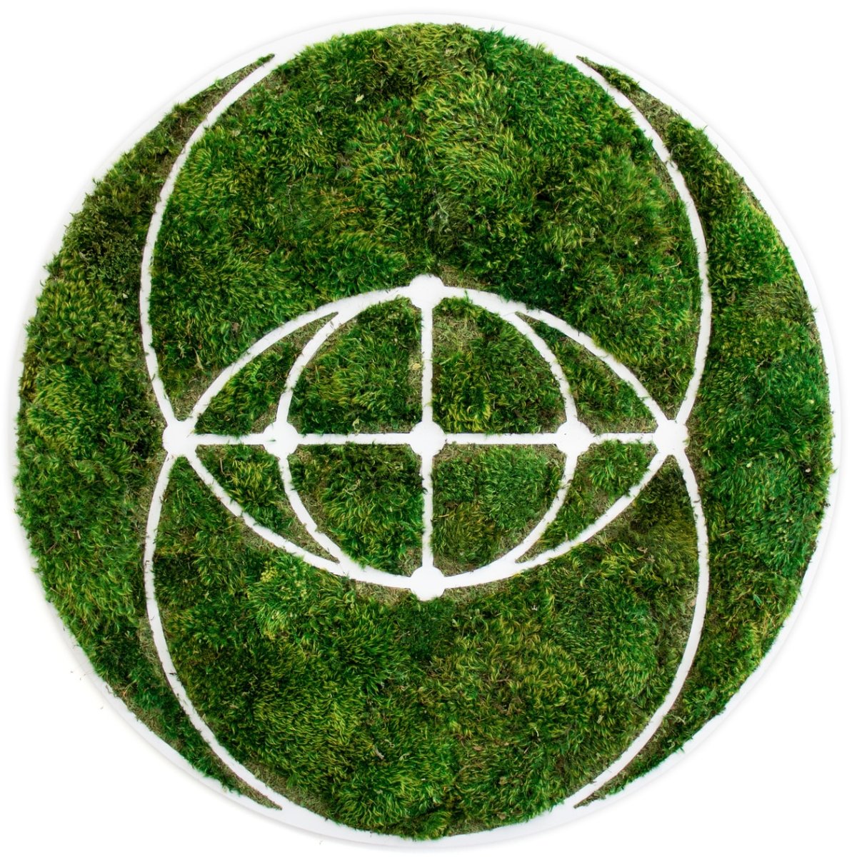 The Vesica Piscis is a sacred symbol that demonstrates the patterns &amp; rules by which certain objects in nature grow. bit.ly/2St9NBh