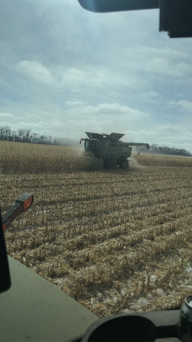 haman_32's tweet photo. Locked up in corn teen 🌽 #QuarantineLife https://t.co/PSP4BBrzZd