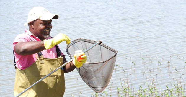 NTDworld's tweet photo. .@WHO to refocus on #snailcontrol in high transmission areas to spur #schistosomiasis elimination https://t.co/NyztNDIwpa A cost-effective way to sustain gains & complement current mass treatment programmes with #PZQ #beatntds https://t.co/y9sMhvycou