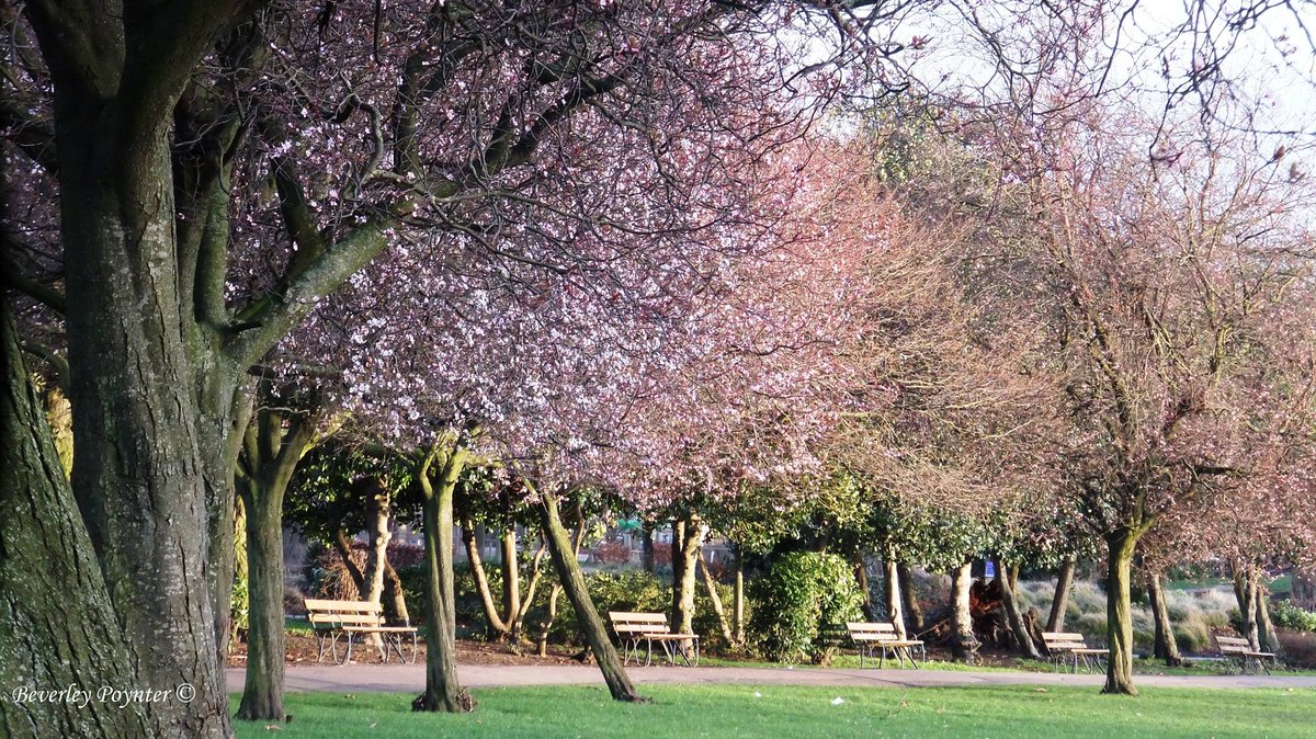 VickyParkFriend's tweet photo. It is with huge sadness that our beloved @VickyParkLondon is closed until further notice https://t.co/Jq1D5l6ljl