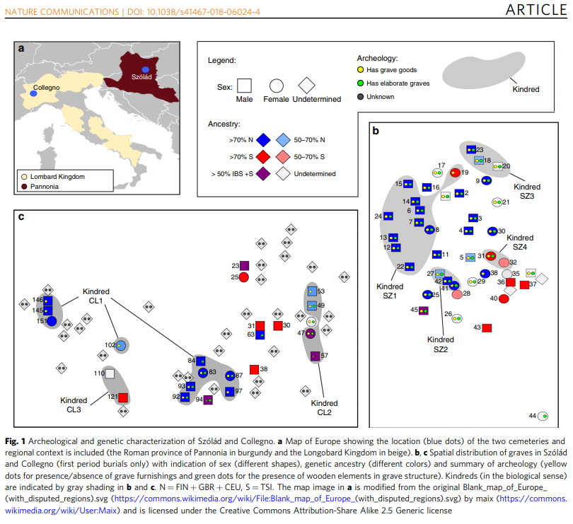 Understanding 6th-century barbarian social organization and migration through paleogenomics"data are consistent with...proposed...migration from Pannonia to Northern Italy""we cannot reject the migration..of the Longobards described in historical texts." https://www.ncbi.nlm.nih.gov/pmc/articles/PMC6134036/