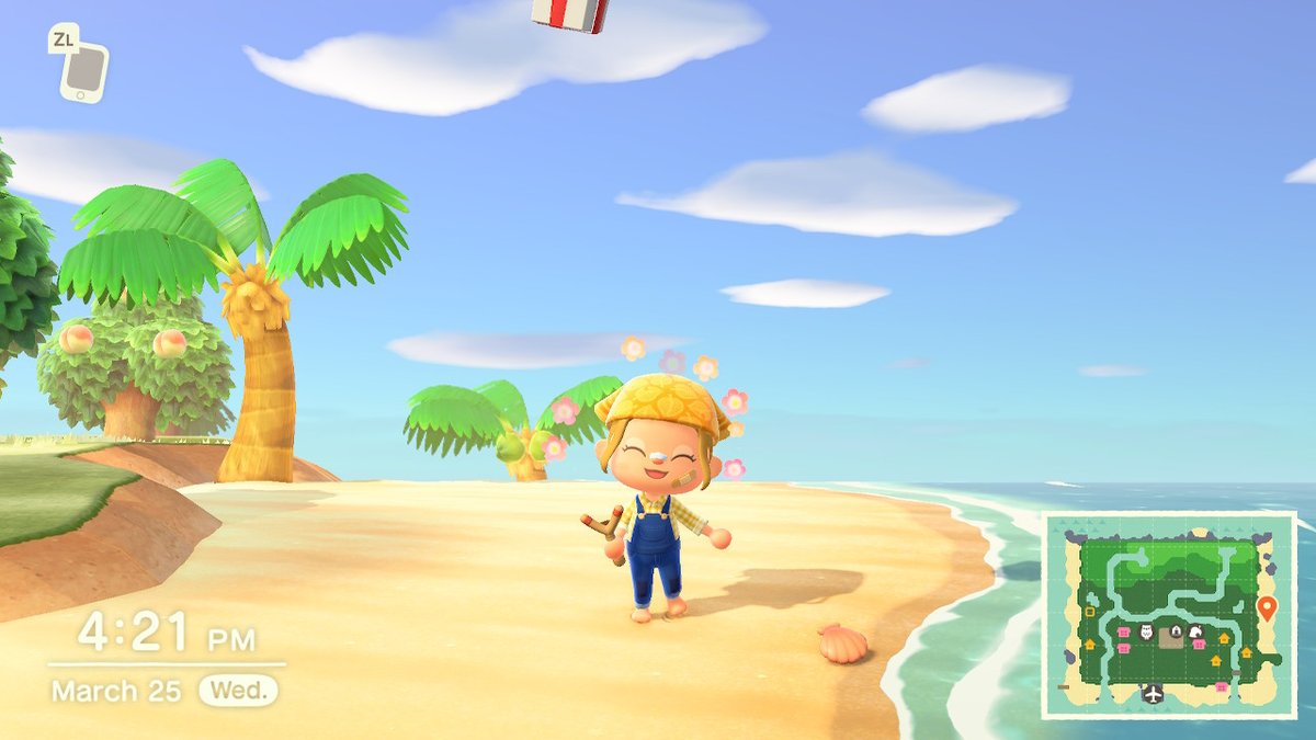 briol15's tweet photo. #AnimalCrossing #ACNH #NintendoSwitch https://t.co/d73zSgwD5R