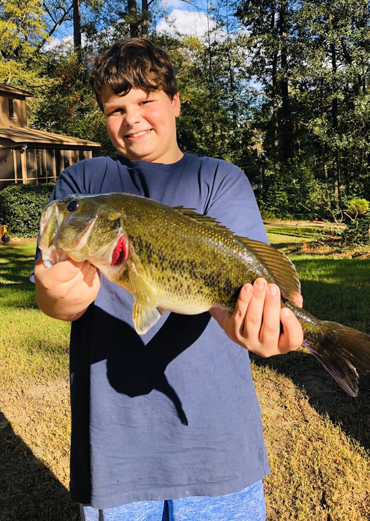 Stephen Lincoln tweet media