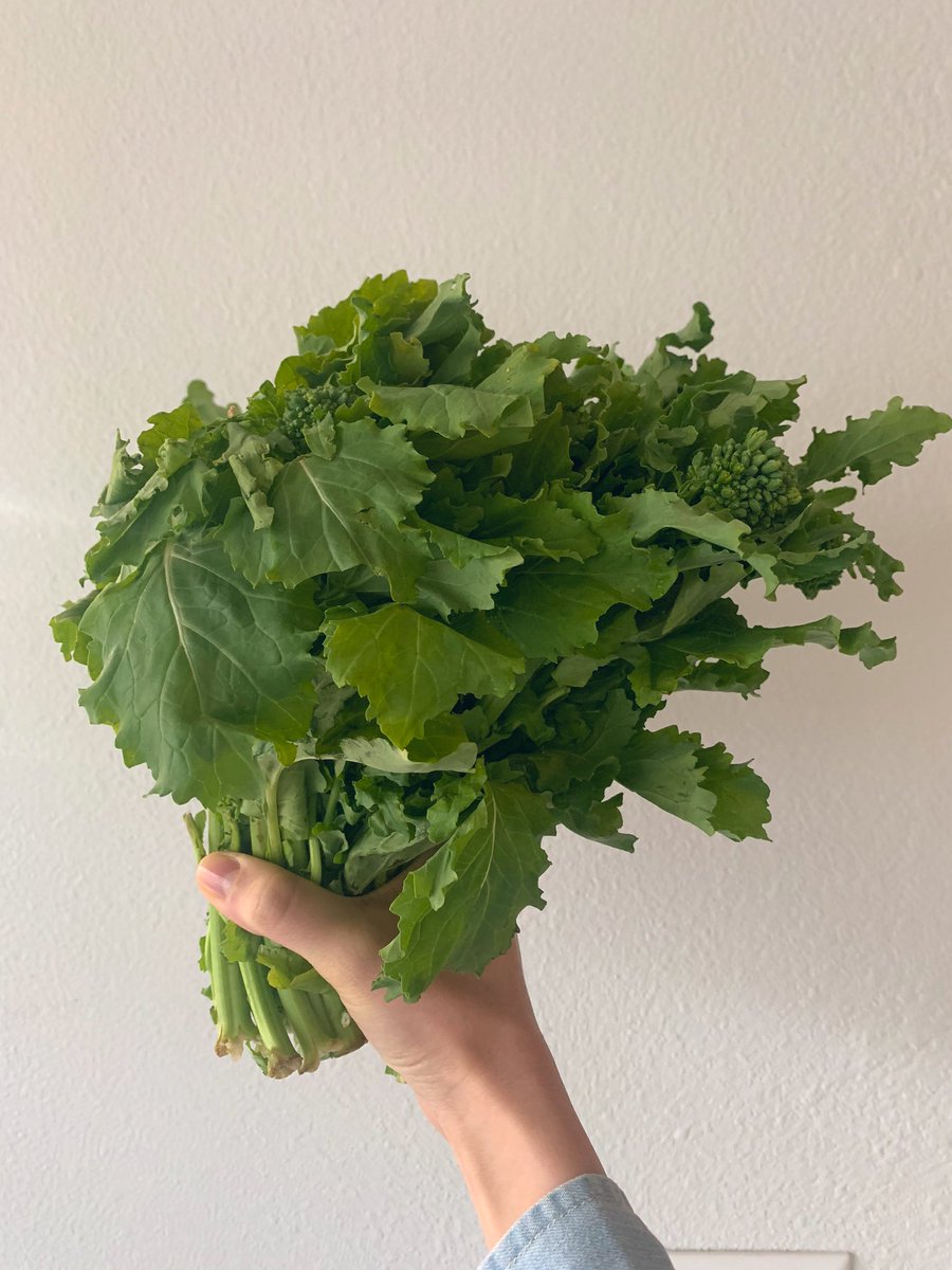 Sonja Swanson tweet media