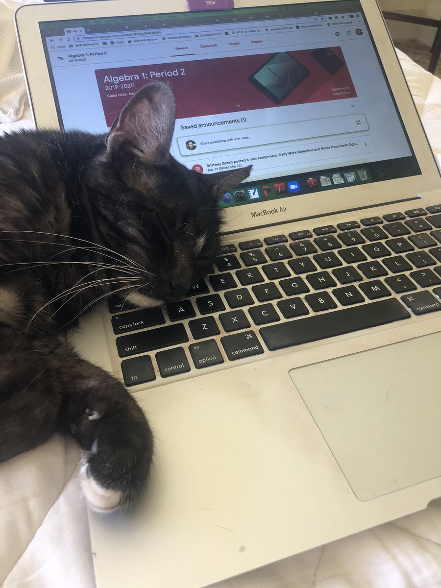 MissGreenMath's tweet photo. Sooooo..... I guess I’m done working according to Patty. 🤷🏼‍♀️ I mean she’s a hard one to bargain with but she’s pulling my arm right now. Working from home is harder than I thought. https://t.co/JeZrqqYeCG