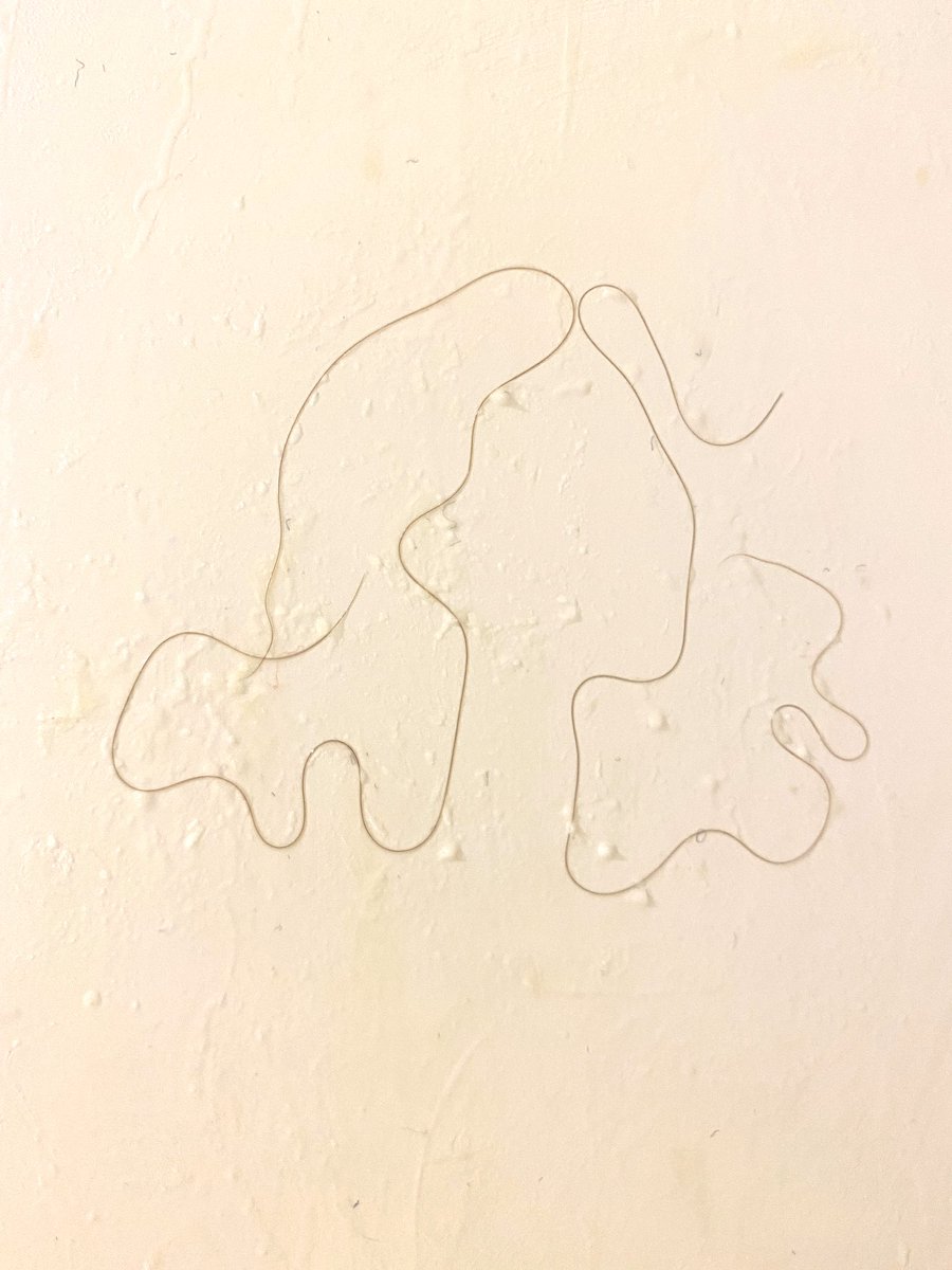 There was a hair on the wall of my shower so I turned it into an abstract portrait of myself. Doing fine!