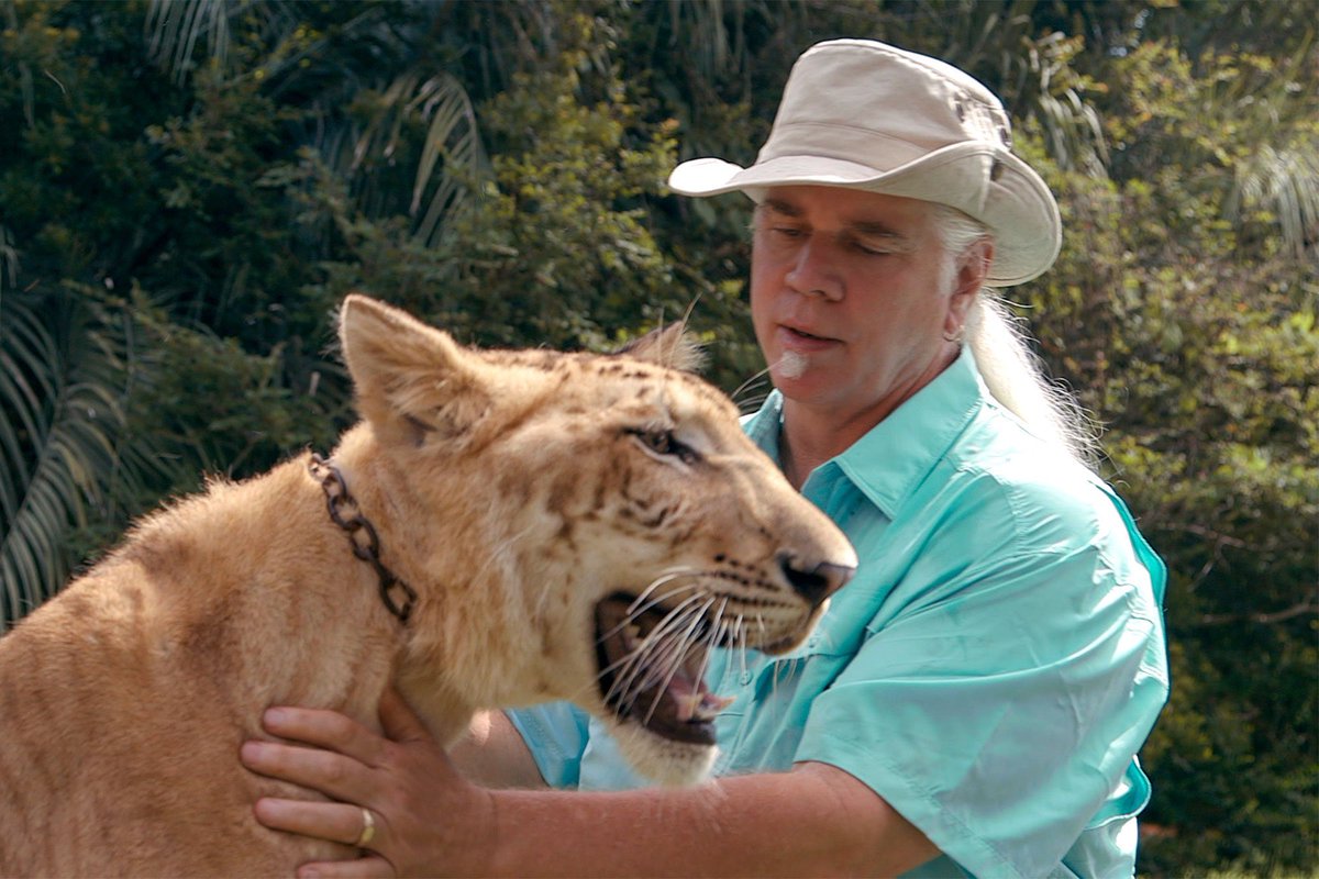 ShaniValencia's tweet photo. I’m just waiting for the next headline where the sister wives with mandatory boob jobs feed Doc to the tigers ... here kitty kitty😂🤷🏻‍♀️ #TigerKing⁠ ⁠⁠ ⁠ https://t.co/N3MIpmDs3G