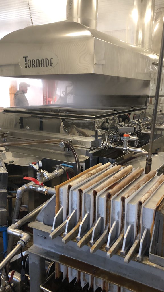 Rolling Ridge Maple tweet media