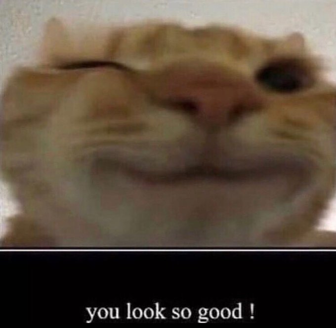 Blanka6969's tweet photo. guess ima start compiling all my stream highlights in here
#Free2020
(this meme is for all the legends who're supporting me, if you're not, please do not look at this meme, it is not meant for you, that's illegal) https://t.co/O0IOUCQVnJ