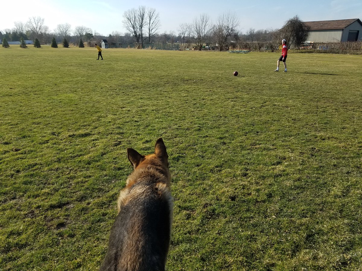MrsAmyRand's tweet photo. A little fresh air and exercise with all my boys on this sunny day! @CoolidgeCougars https://t.co/7TvPnmdDfK