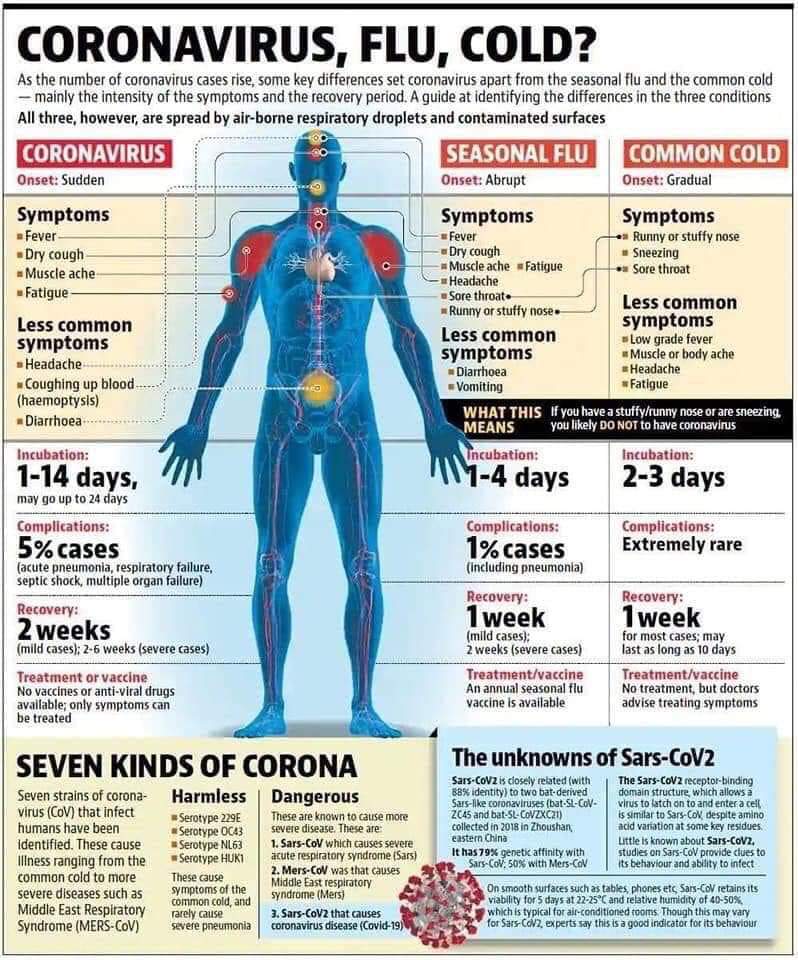 NickBeardPembs's tweet photo. Not just like the flu!! 
#StayAtHomeStaySafe https://t.co/e2zFApRH3k
