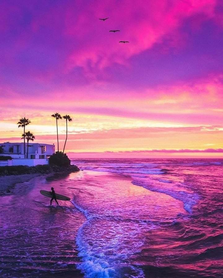 Con_Sentimiento's tweet photo. No permitas que las sombras del ayer arruinen la luz del mañana. Vive para el hoy. Nadina Morris https://t.co/8KoTO4NgFj