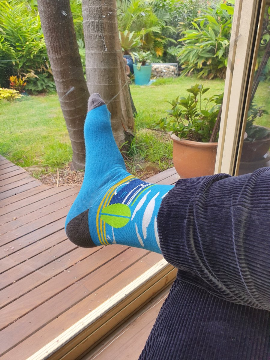 ssharwood's tweet photo. Working my way through a pile of vendor socks I've never worn before. Today thanks @vmware for the #beachops hosiery promoting  @WavefrontHQ (with glimpses from the temporary Vulture East aka the shed that is my home office. Also corduroy!) https://t.co/7vy568pA4p