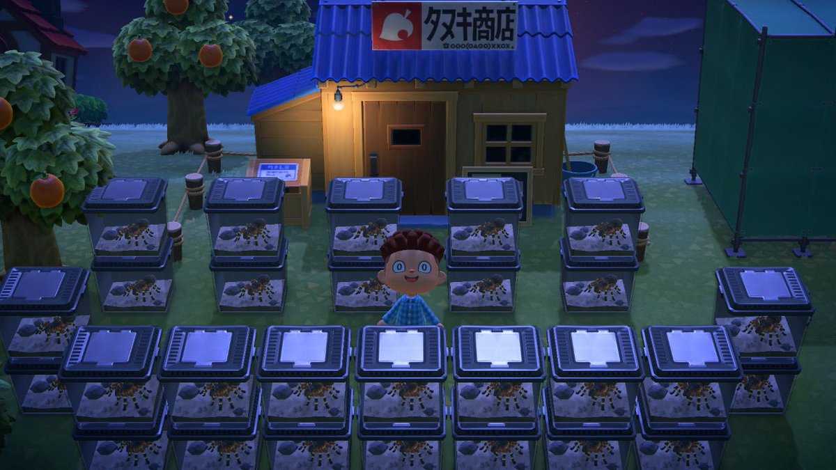 どう 森 たぬきち 商店 あつ森 たぬきちのタヌキ商店の建て方と改装 移設方法 あつまれどうぶつの森 どう 森 たぬきち 商店 あつ森 たぬきちのタヌキ商店の建て方と改装 移設方法 あつまれどうぶつの森