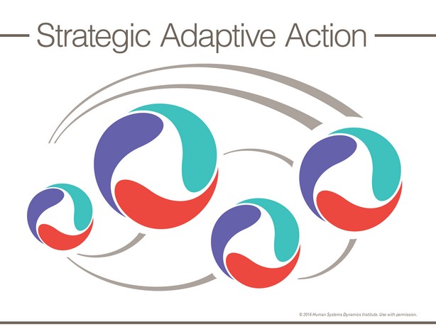 HSDInstitute's tweet photo. In the complexity of the 21st century, traditional strategic planning is no longer adequate to address the uncertainty of organizational life. Strategic Adaptive Action offers a structure and process that provide both direction and flexibility. - https://t.co/Y4SDHOUVht https://t.co/5eBjz4VJd8