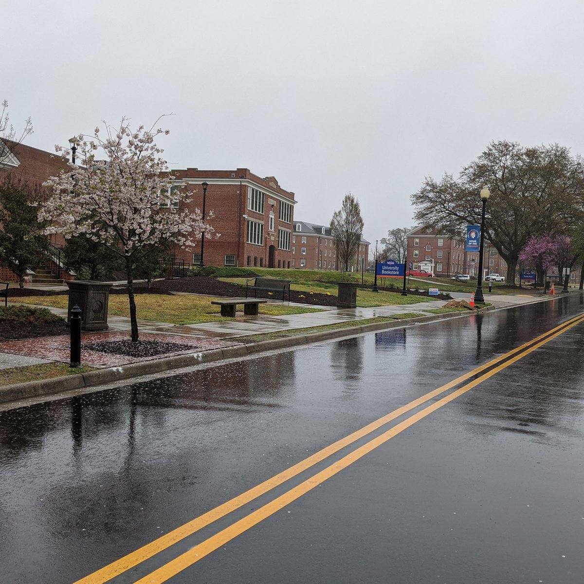 The Virginia State University campus is different. Still as beautiful as ever, but missing the important part, the people. The faculty, staff and most importantly the students. (1/5)