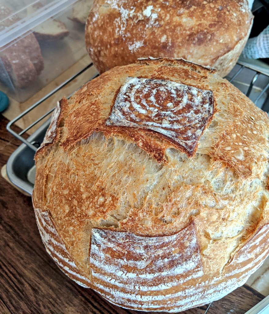 steve0688's tweet photo. 🤸🏻♂️ First bake of 2020 🍞
#fwsy #sourdough #crumbshot https://t.co/8JhAqQYHVI