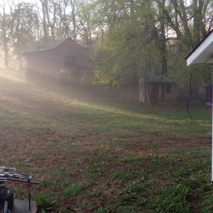Foggy this morning.💚 https://t.co/tsvdAZHOK3<a href="/tag/newprofilepic"class="tags"><span>#newprofilepic</span></a>