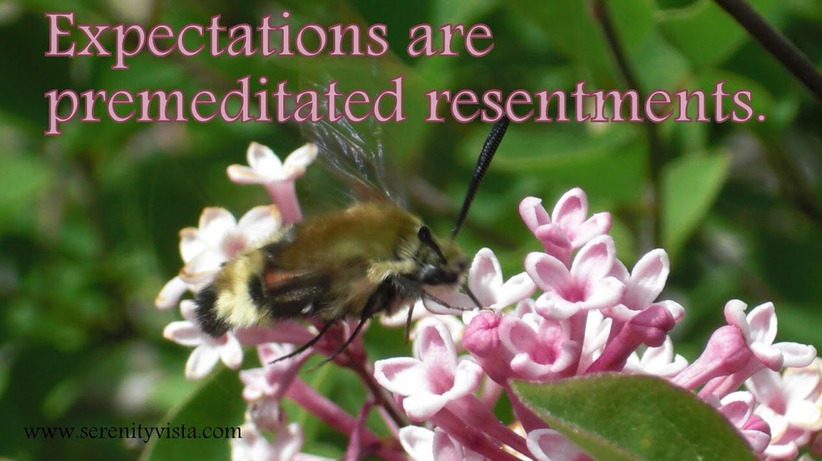 SerenityVista's tweet image. What do you think about this one? We'd love to have your opinion #SerenityVista #ForYou #Resentments #Expectations #InstaMoments #Sober #SoberLife #SoberIsSexy #OneDayAtATime #12StepRecovery