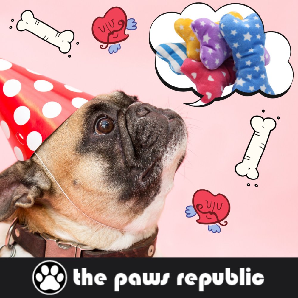 Every pug is a toy-lover. Make sure that your puppy is always happy by giving him a new toy from time to time!

#DogsSupplies #pugs #pugslove #petlover #pettoys #toysforpets #petsupplies