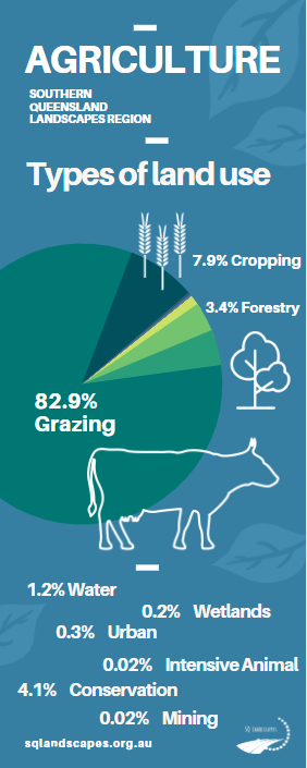 AG IN OUR REGION!

Have you ever wondered just how much of our land is used for grazing, or for cropping?

Well we have crunched the numbers and found some pretty cool statistics!

#agriculture #queensland #primaryproduction #sustainability