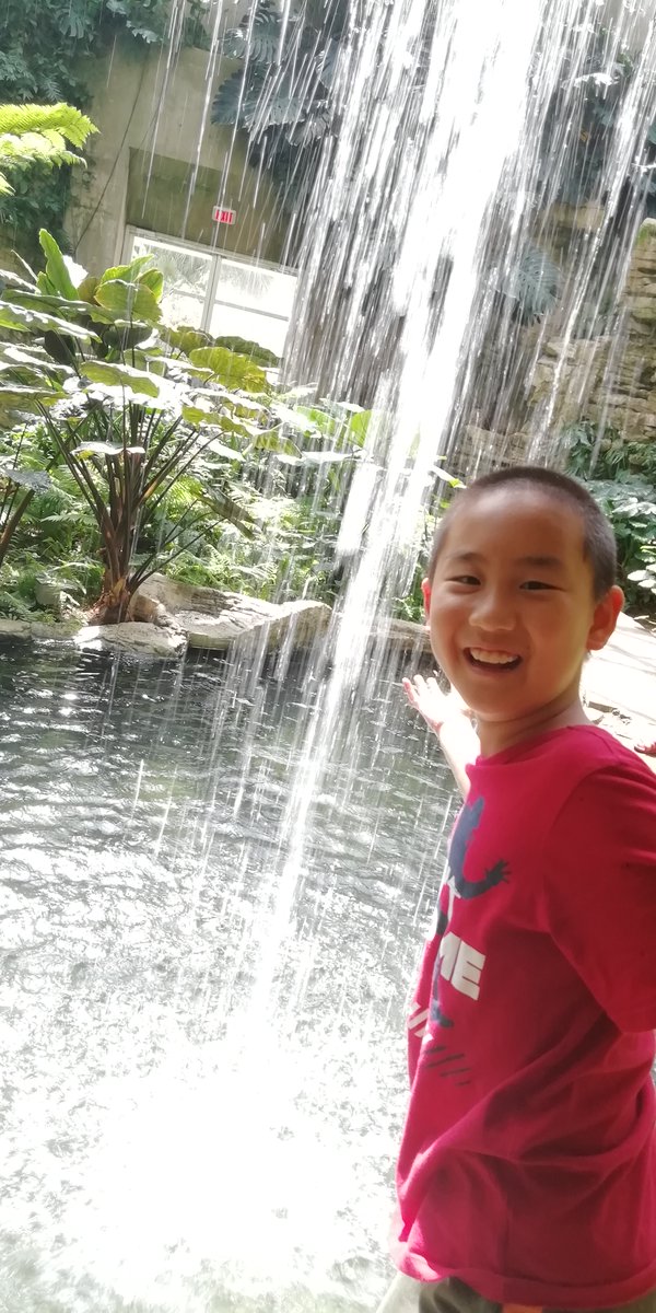 MrsReidTeacher's tweet photo. Here's the face of our @NISDBeard mathematician, Andy, from @jesslee_herrera's class that recently completed 100% of @STMath. Even his smile screams success! https://t.co/u2BVpswKqt