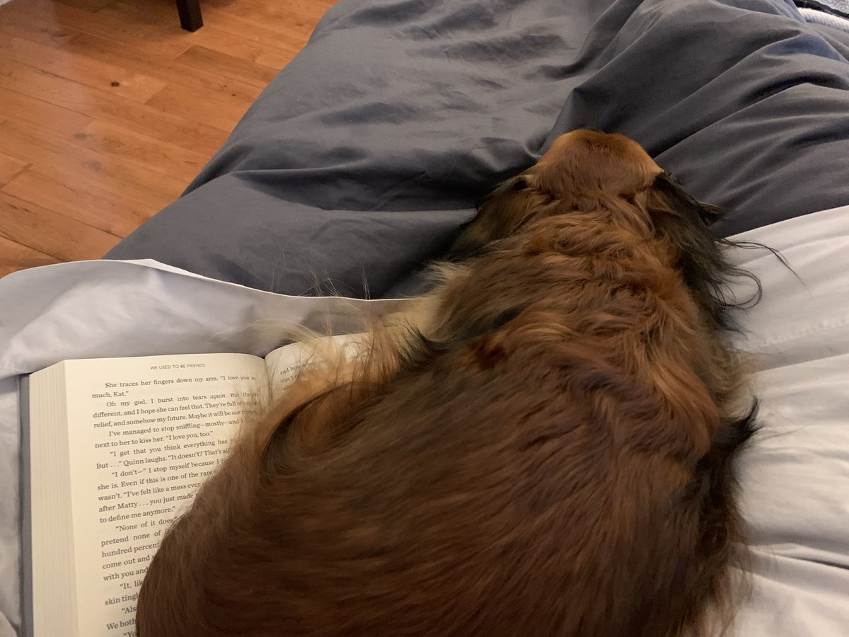 (She’s been extra cuddly/I think the answer is def yes) (In that last pic she just straight up sat her whole body on top of the book I was reading)