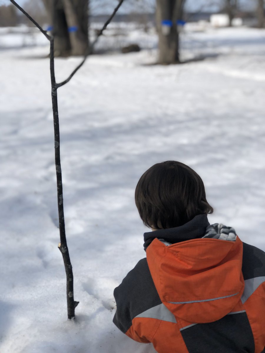 PascaleFournie4's tweet photo. « Se sucrer le bec », c’est bon pour le moral 🥳! Les érables🌲 sont confiants et souriants & le #siropdérable est délicieux 😋🍁! I so wish I could share with my @fdnPETF team!
#MapleSyrup #VirtualSharing https://t.co/MeIPWHwGWy