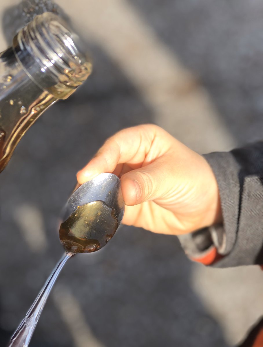 PascaleFournie4's tweet photo. « Se sucrer le bec », c’est bon pour le moral 🥳! Les érables🌲 sont confiants et souriants & le #siropdérable est délicieux 😋🍁! I so wish I could share with my @fdnPETF team!
#MapleSyrup #VirtualSharing https://t.co/MeIPWHwGWy