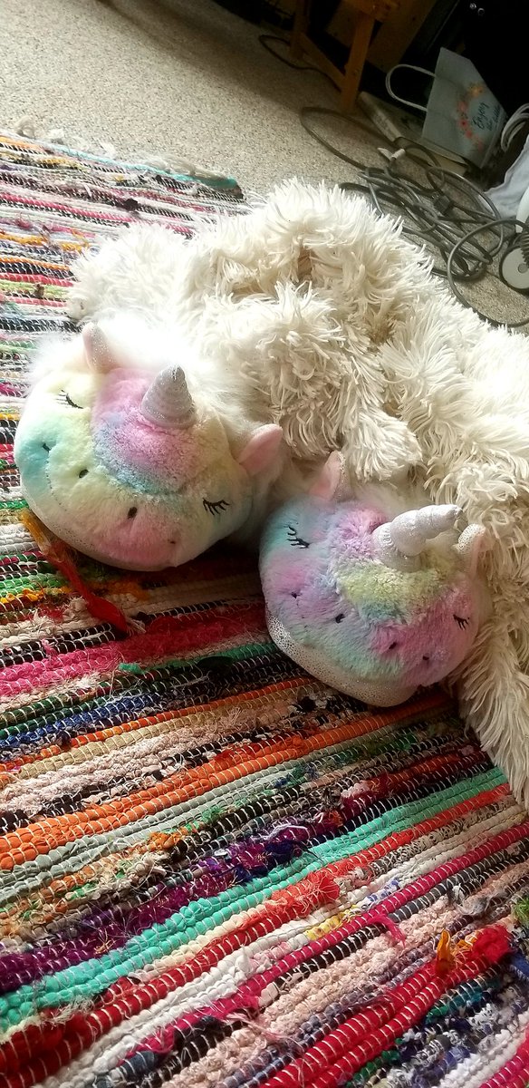 Gina__Wilder's tweet image. Interactive posts like this one keeps kids sane in these times...Thank you @Rvilleschools for going the extra mile! Find something that makes you feel cozy...Bella did! @kwhite_ses #unicornslippers #fuzzyblanket