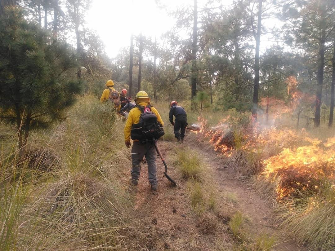 PoliciaSsc's tweet photo. 🚨Al Momento🚨La Policía de Montaña de la #SSCTLX trabaja en coordinación con personal de #CONAFOR y #CGE, para sofocar un incendio en el paraje conocido como "La Barranca" en el Parque Nacional "La Malinche"
#PorUnTlaxcalaSeguro
#ConstruimosJuntos2020
#Tlaxcala https://t.co/Atap221le7
