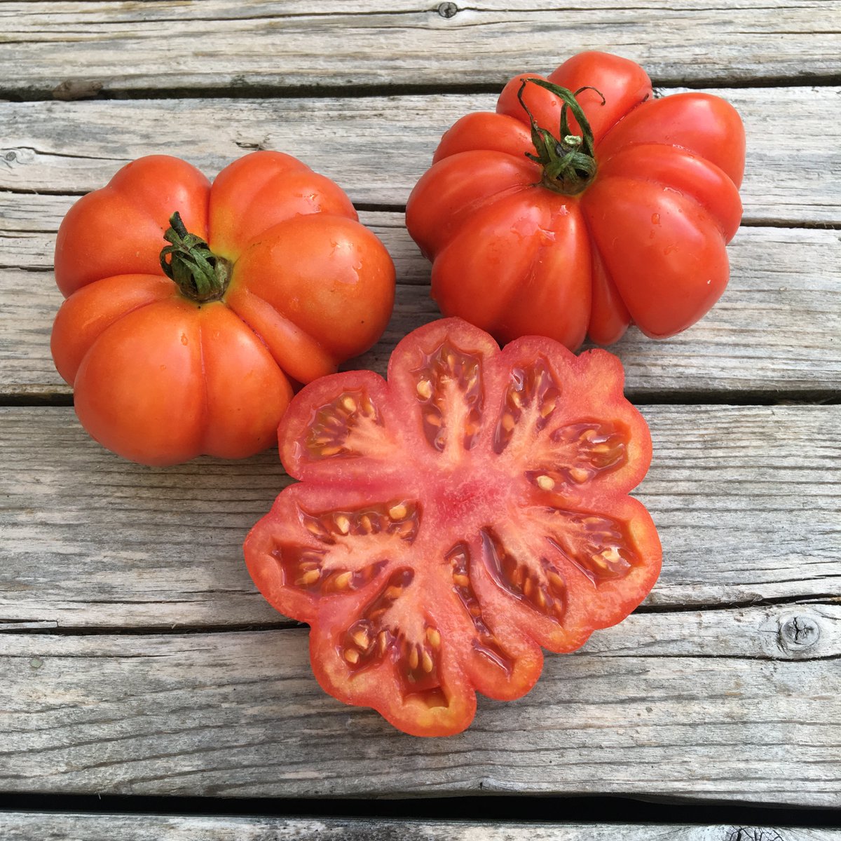 NikiJabbour's tweet photo. A6: I love to grow unusual and global veggies and varieties which became the topic of my 3rd book, Veggie Garden Remix. It’s great fun to experiment in the garden and try new flavours. From heirloom tomatoes to burr gherkins! Grow something new this year #GardenAuthors https://t.co/LRRWNgj6KI