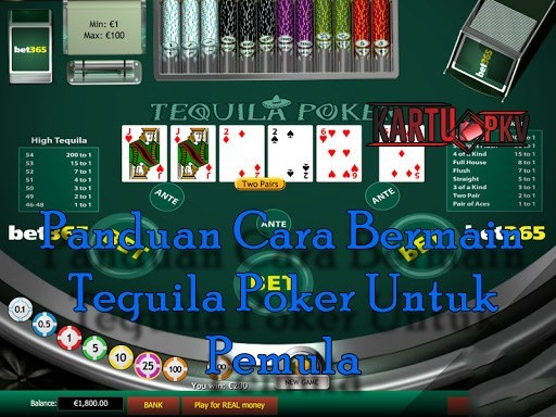 KARTU PKV on Twitter: "Panduan Cara Bermain Tequila Poker Untuk Pemula