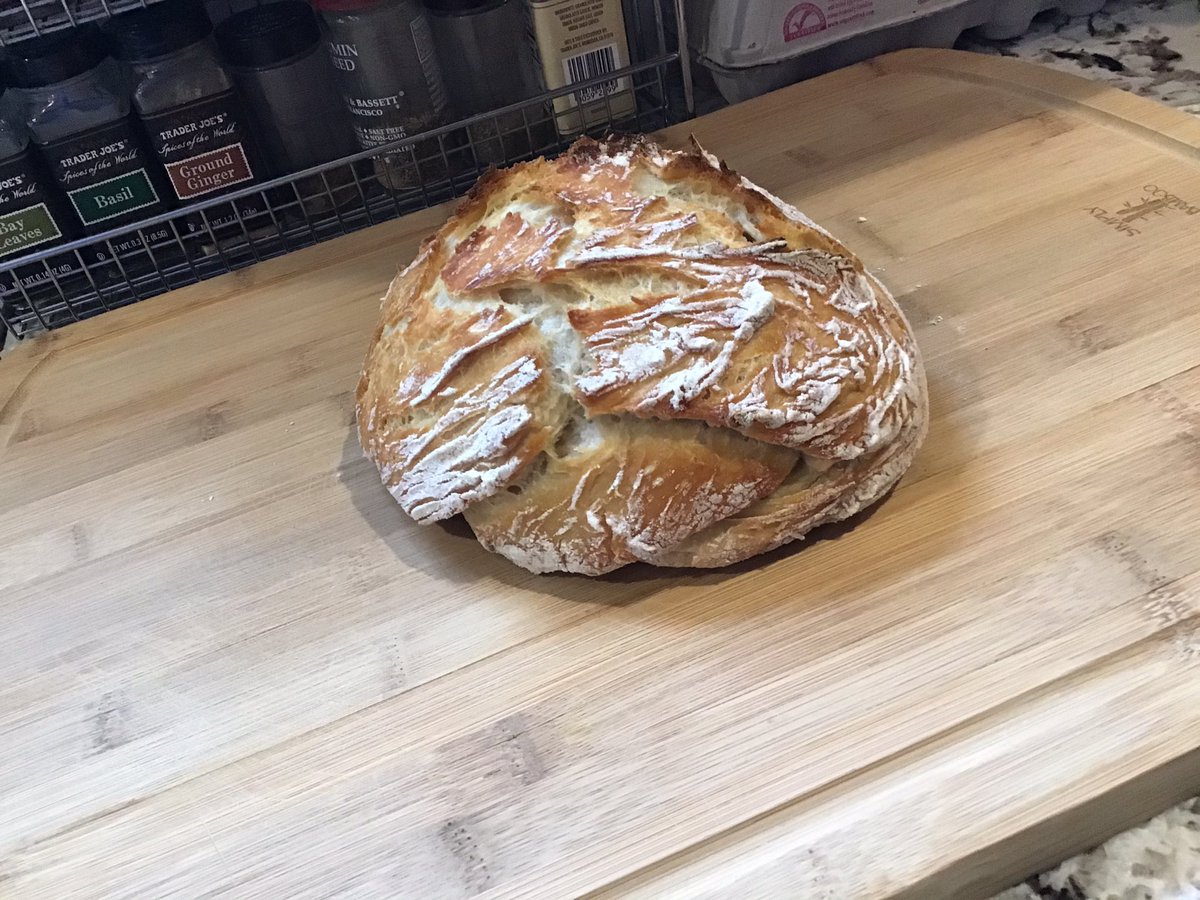 CamalaG's tweet photo. @SAGarNYC @megmccarron @Eater @kingarthurflour My creation! next,#bagels #kingarthurflour #baking #quarantine #nokneadbread #rustic #lecreuset #french https://t.co/ZNnboAraGS