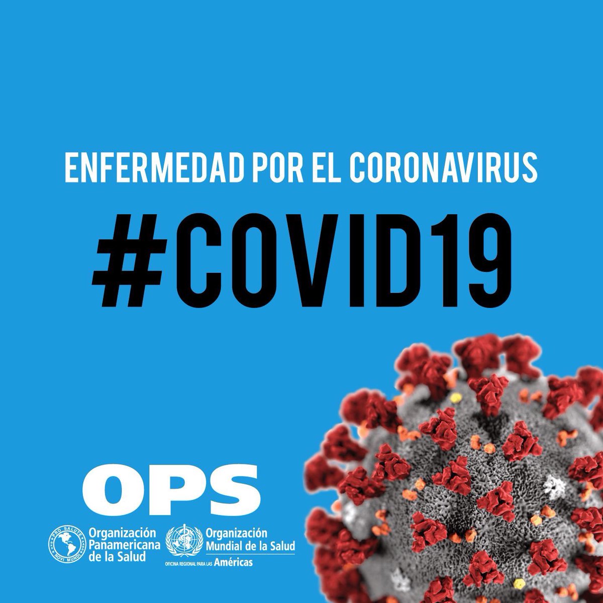 opsoms's tweet photo. ✅ NUEVA HERRAMIENTA: Nuestra 💻base de datos #COVID19, para buscar y acceder a guías técnicas, publicaciones científicas y protocolos de investigaciones en curso sobre la enfermedad. ℹ️Visita nuestra página web + agrega a tus favoritos): https://t.co/1G44G1hGQp #COVID19Research https://t.co/HXElLQgMQz