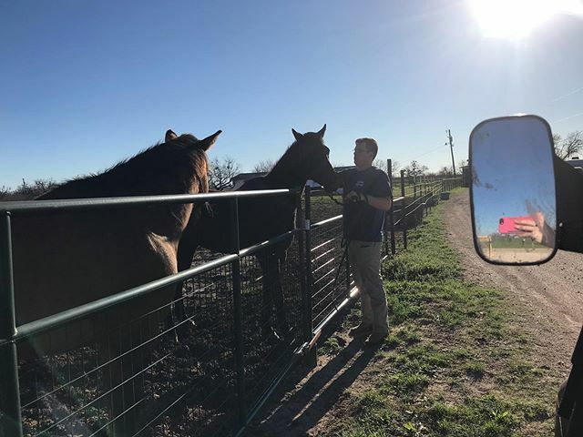 jodelony's tweet photo. I just love how he’s so willing to help! Earlier today, he was helping his parents with some wires in the attic. And this evening, well, he’s feeding horses with me.

#hesmyfavorite #lovehim #hesakeeper https://t.co/7rAmDe6Xs3 https://t.co/o0LCclKylZ