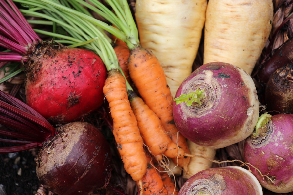 A9. Starting a new fern bed, planting lots of sunflowers, itching to grow red Brussels sprouts and all root crops in the veg garden. Plus, lots of native perennials. #GardenAuthors
