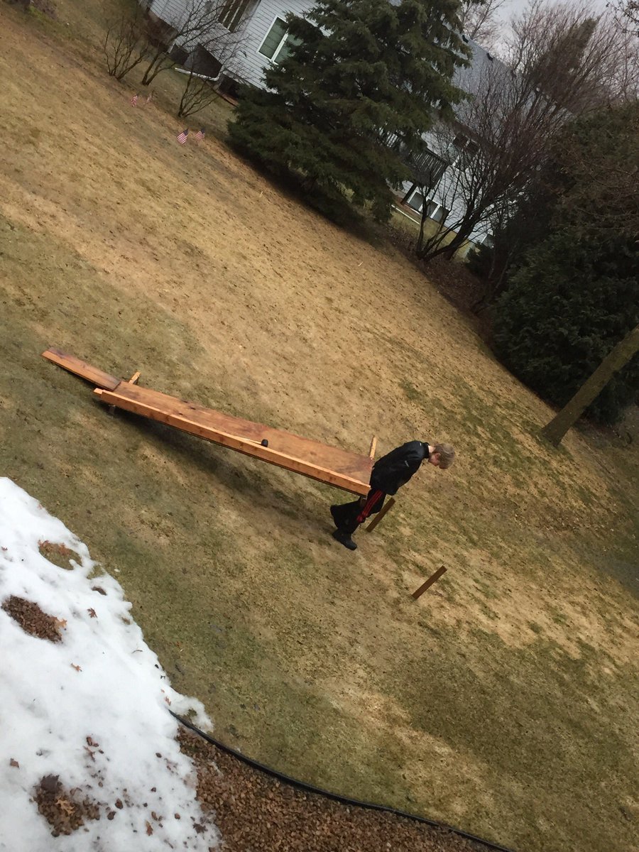 annegrimmius's tweet image. Just building himself a shed. I hope it takes him 39 days. At least. #covid19staycation #buildingstuff #pleasesendwood #westy
