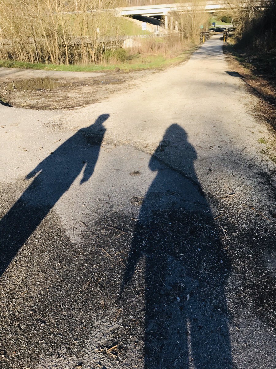 Judy Williams Daniel tweet media