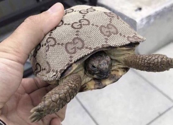 ryantheleader's tweet photo. this and a blunt 👌🏻 ❤️ https://t.co/6ZBz6OJ077