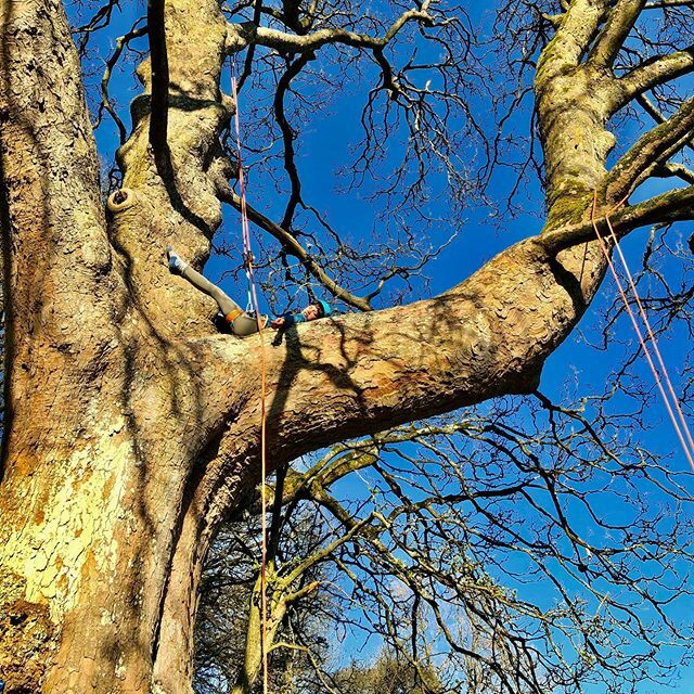 treesourceco's tweet image. Today’s exercise! Doesn’t get any better than this! #fatheranddaughter ift.tt/2UhiDTx