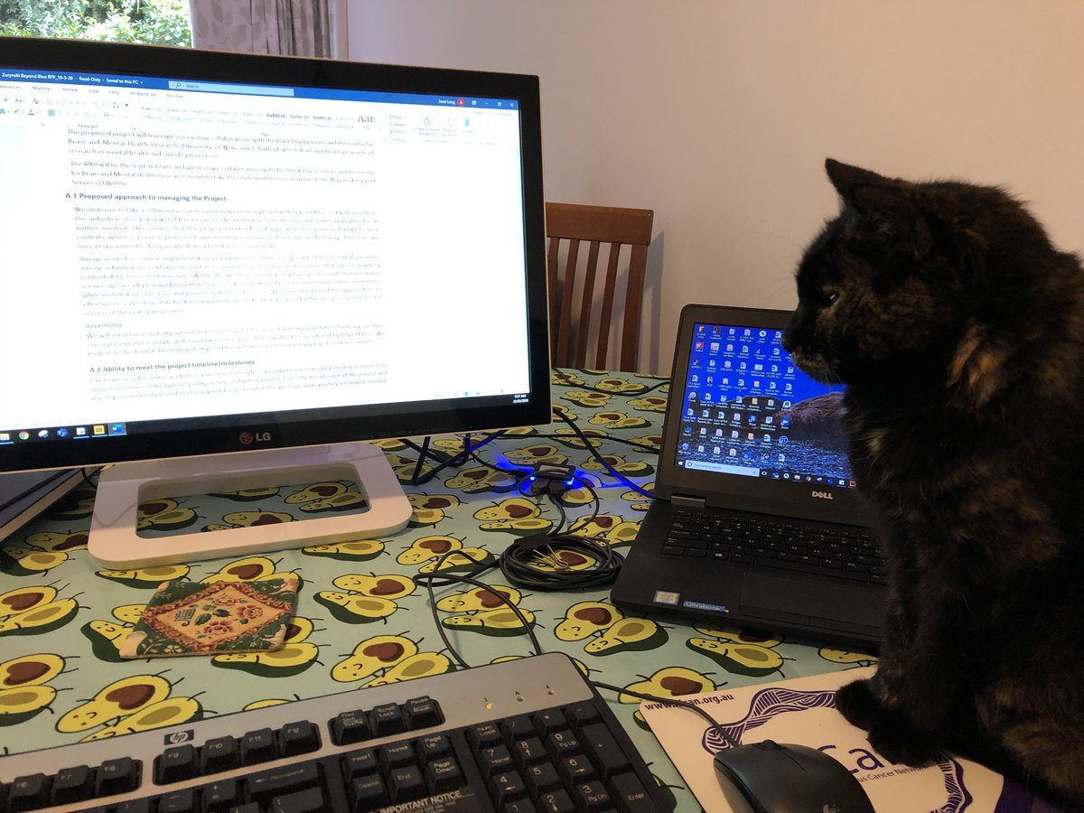 Janet Long tweet media