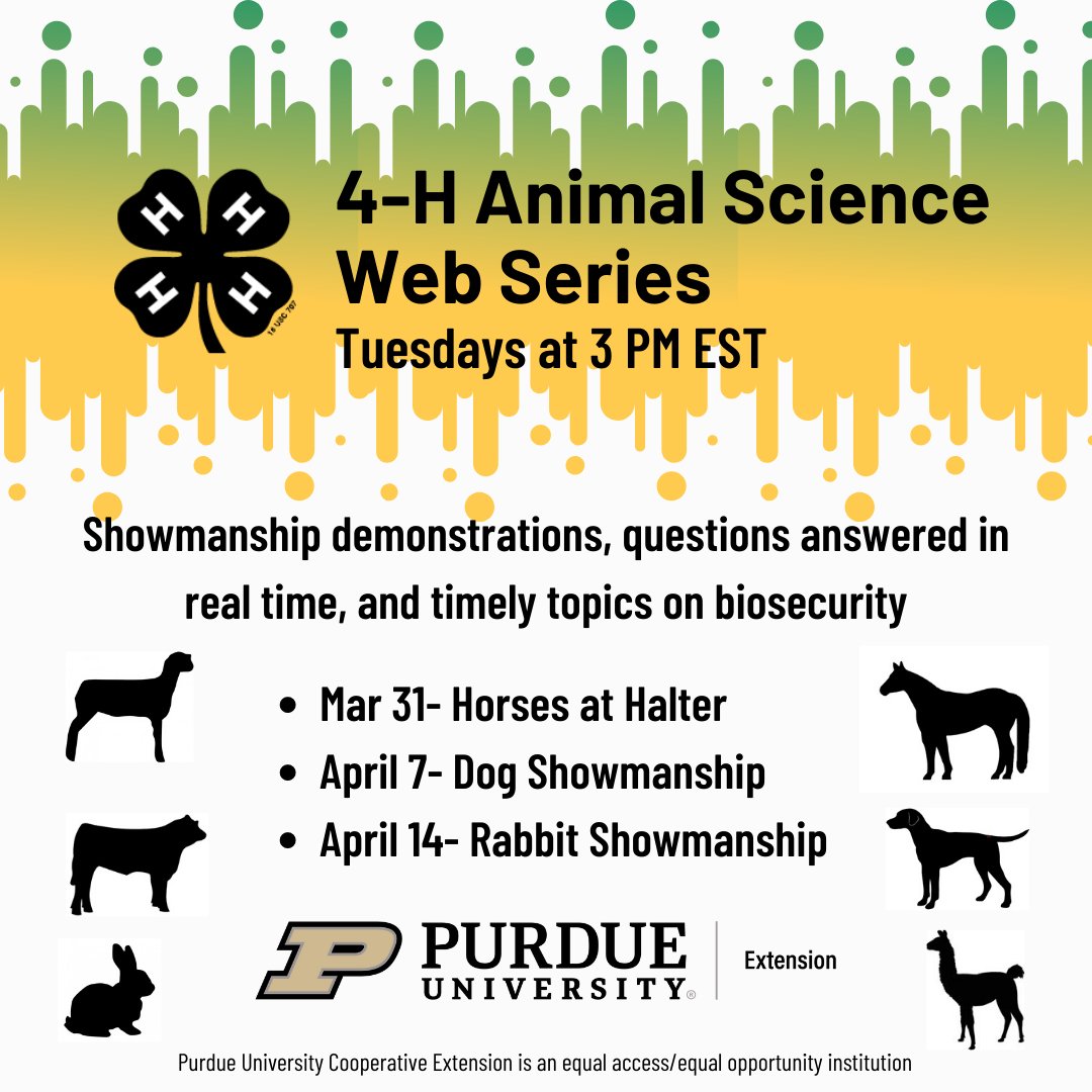 Tune in on Tuesdays for live, virtual animal science learning opportunities from <a href="/PurdueExtension/">Purdue Extension</a> 4-H Youth Development! Links to join each session will be shared soon. Find more at-home activities for kids and families at purdue.ag/4hhomeactiviti…. #InspireKidstoDo