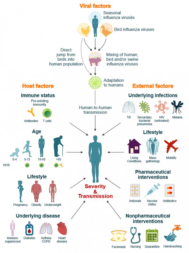 Microbes break Modernity's fiction of Nature vs Economy vs Society. They shape us; we shape them. "The earth is a unity for influenza A virus in a manner not yet found for probably any other parasite" (Hope-Simpson,1979). L: https://www.historicalclimatology.com/interviews/a-conversation-with-bruce-campbellR: https://www.eurekalert.org/pub_releases/2018-10/f-lft100118.php